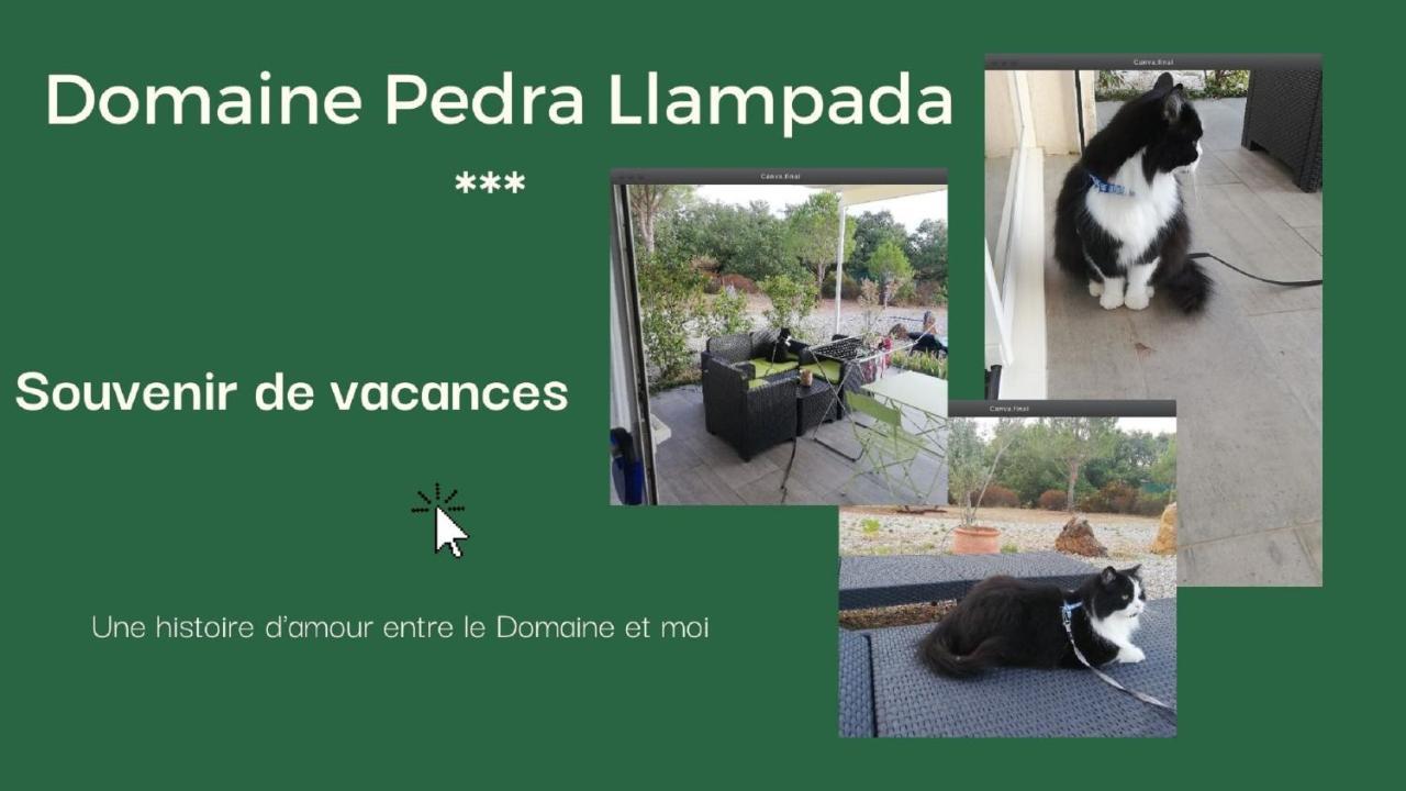 Domaine Pedra Llampada Gites Montagne Villelongue-dels-Monts Exterior foto